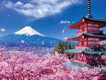 Без бренда «2KSB-7277» в Стерлитамаке