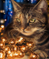 Без бренда «2KXSB-0678» в Стерлитамаке