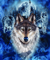 Без бренда «2KXSB-0687» в Стерлитамаке