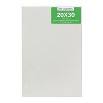 Без бренда «Коробка 80 шт.: Холст Две картинки на подрамнике 20X30» в Стерлитамаке