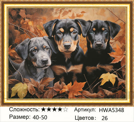 Алмазная мозаика 40x50 Три черных щенка среди осенних листьев