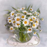 Без бренда «Букет свежих ромашек» в Стерлитамаке