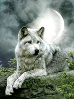 Без бренда «Коробка 25 шт. картин по номерам BOX25-GX21058» в Стерлитамаке