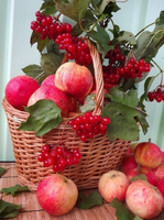 Без бренда «Коробка 25 шт. картин по номерам BOX25-GX5174» в Стерлитамаке