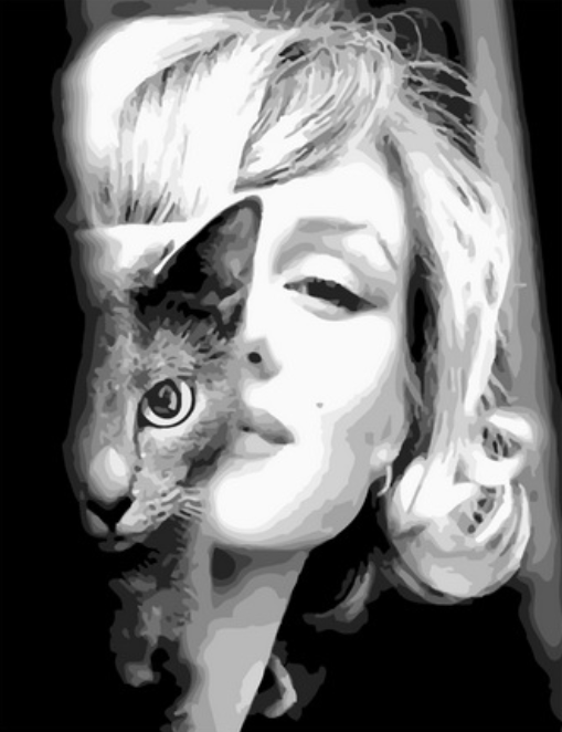 Картина по номерам 40x50 Кошечка Мэрилин Монро