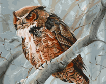 Суровый сыч на ветке