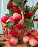 Без бренда «Плетёная корзина с калиной и яблоками» в Стерлитамаке