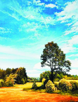 Без бренда «Осенний пейзаж с голубым небом» в Стерлитамаке в интернет-магазине  Без бренда «Осенний пейзаж с голубым небом» в Стерлитамаке