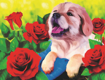 Маленький щенок среди красных роз