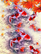 Карпы кои и осенние листья