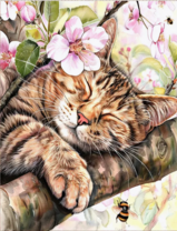 Без бренда «Волосатый котик спит на ветви яблони» в Стерлитамаке