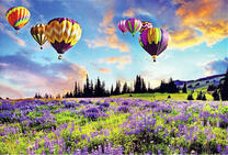 Парад воздушных шаров над лавандовым полем